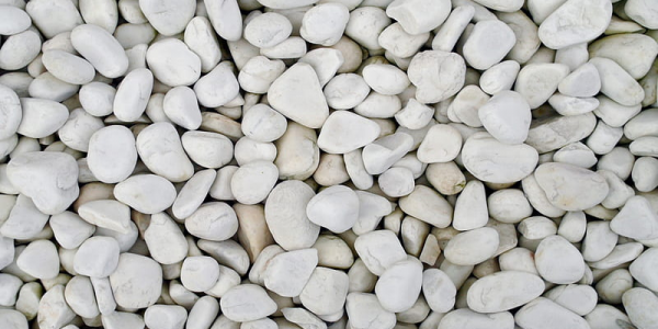 image_2025-05-16_103051350